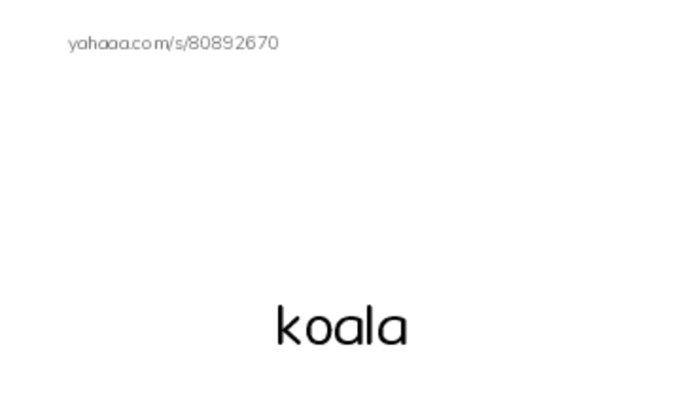 Zoo Animals PDF index cards with images