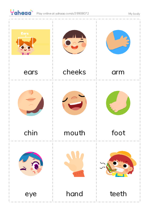 My body PDF flaschards with images