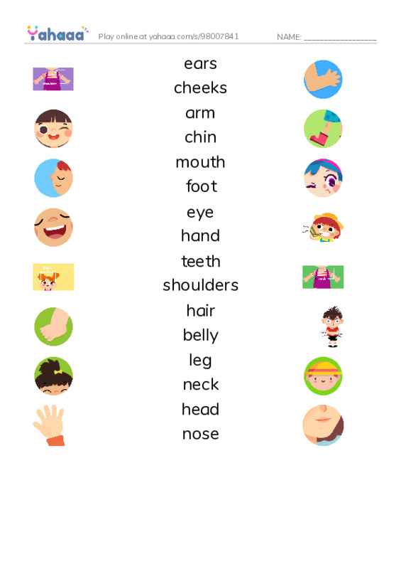 My body PDF three columns match words