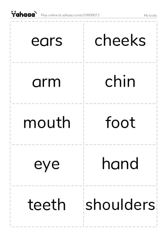 My body PDF two columns flashcards