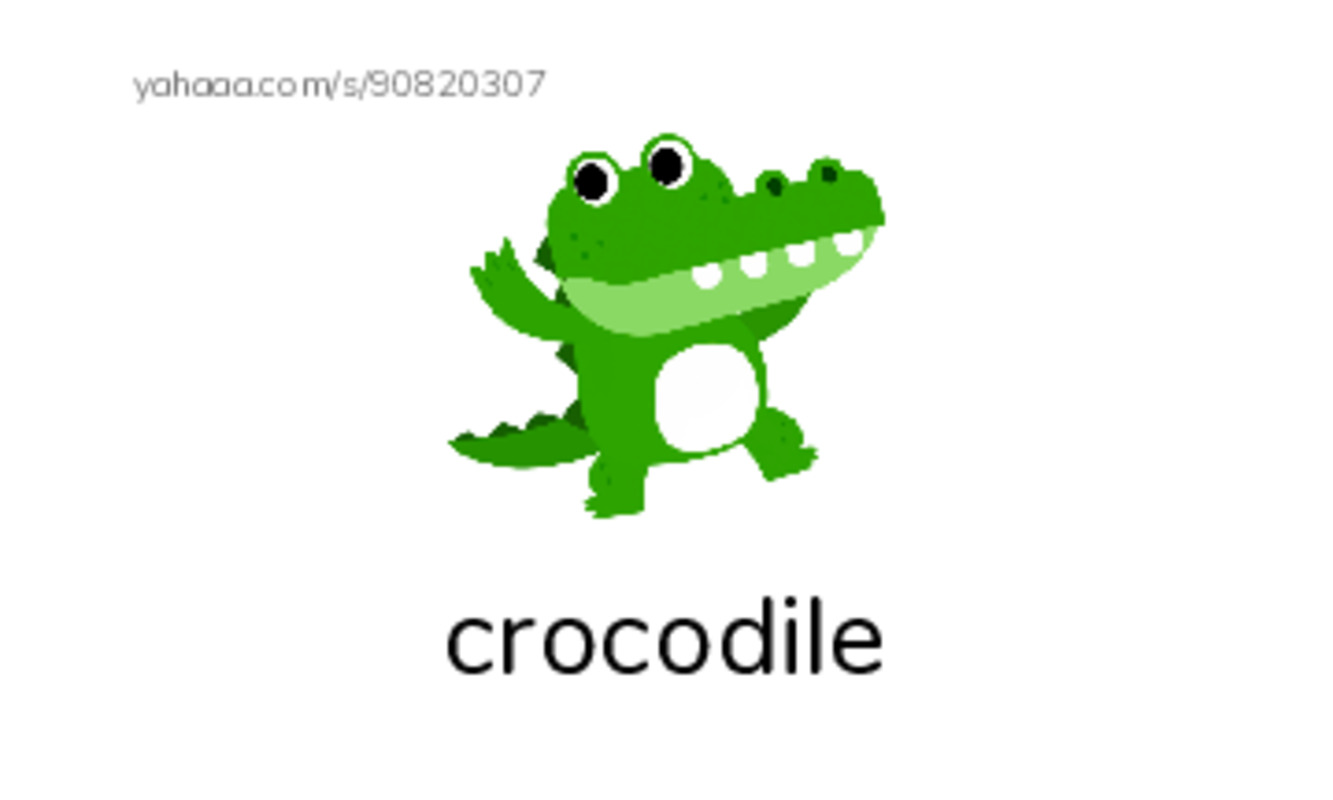 Words in C  PDF index cards with images