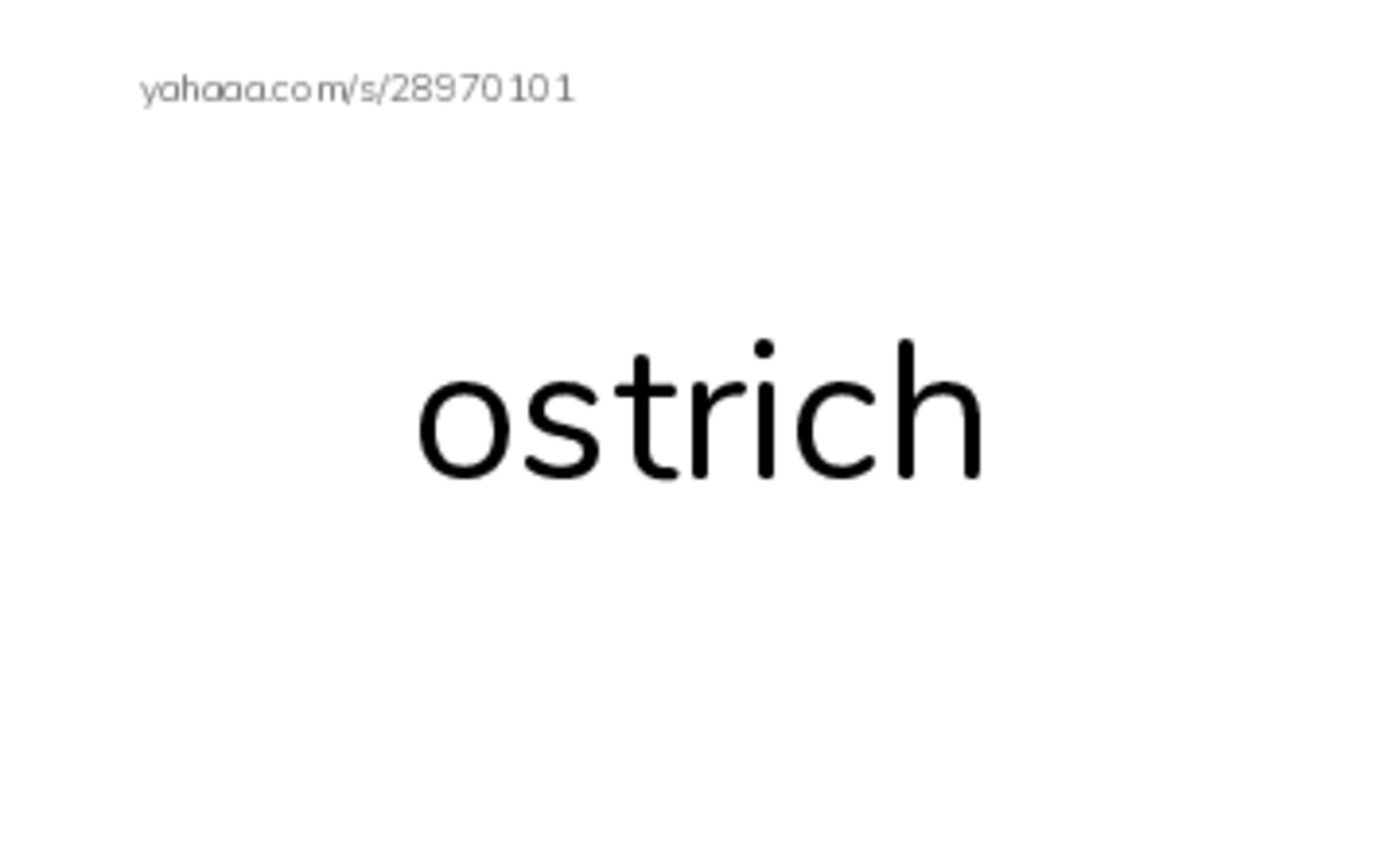 O words 1 PDF index cards word only