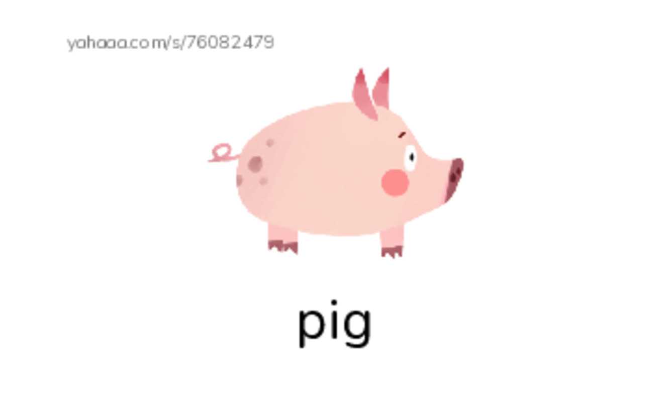 P words 1 PDF index cards with images
