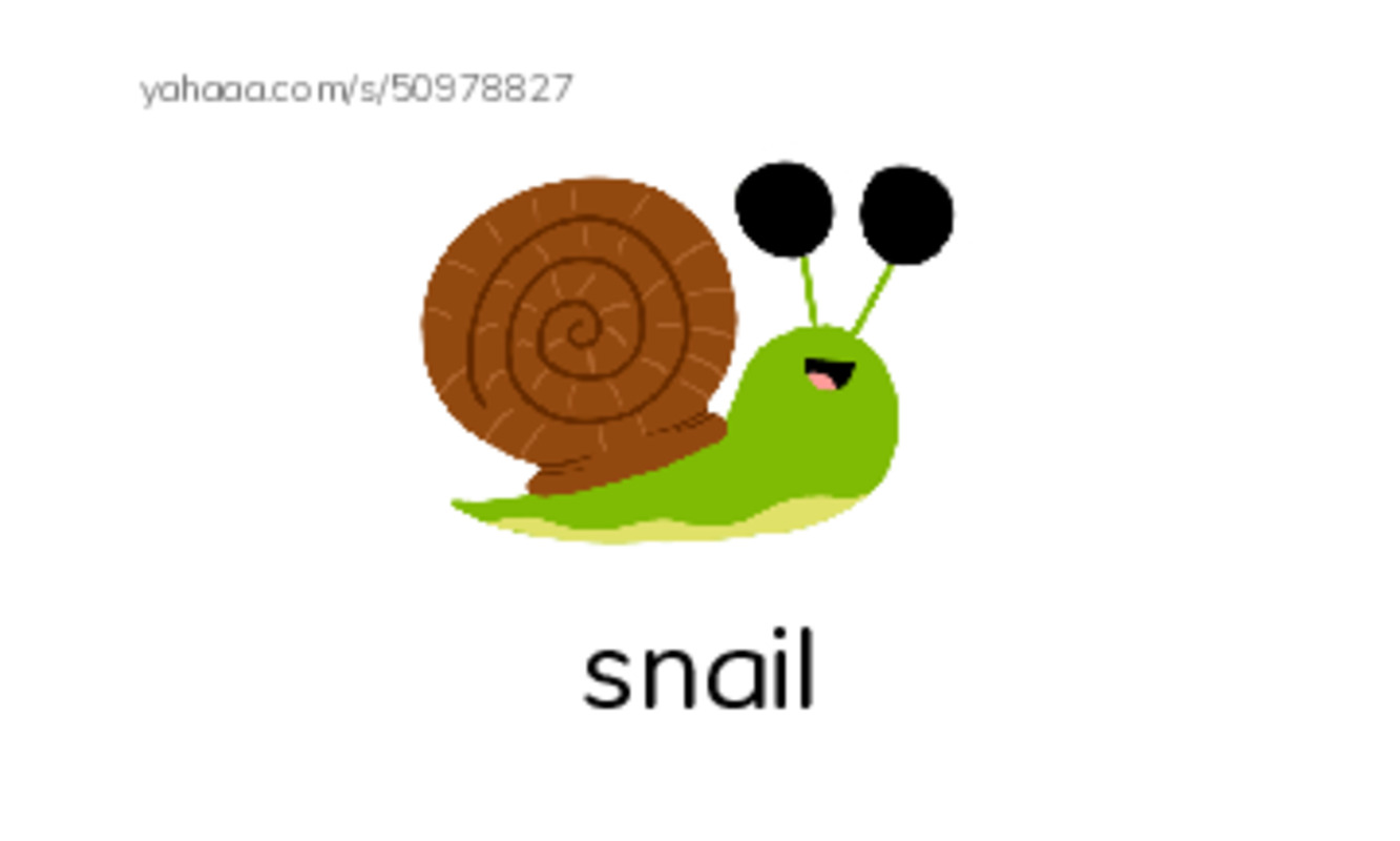 S words 1 PDF index cards with images