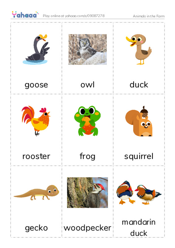 Animals in the Farm PDF flaschards with images