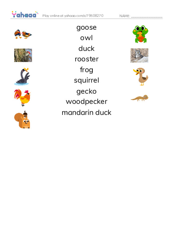 Animals in the Farm PDF three columns match words