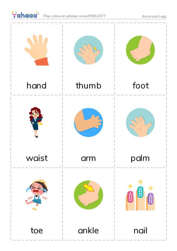 Arms and Legs PDF flaschards with images