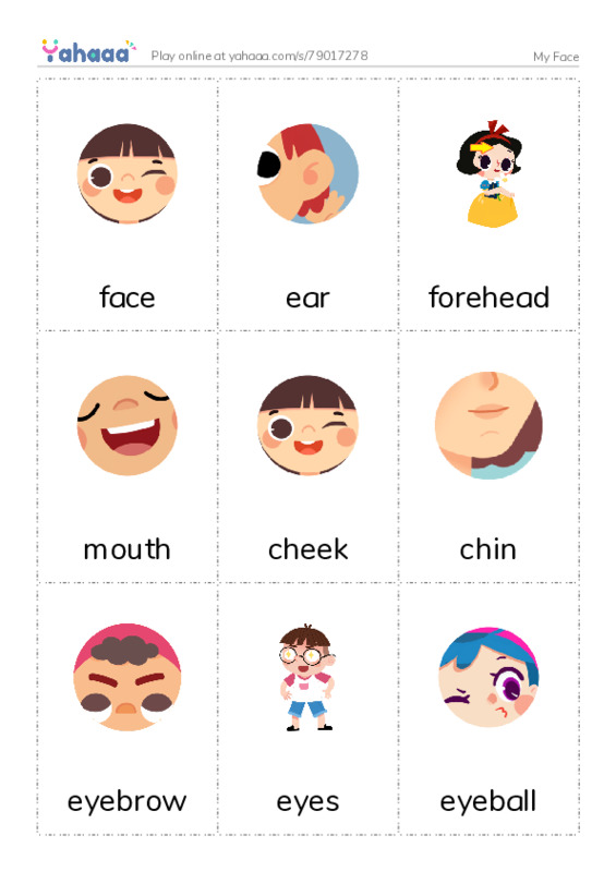 My Face PDF flaschards with images