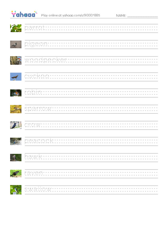 Birds Names (1) PDF write between the lines worksheet