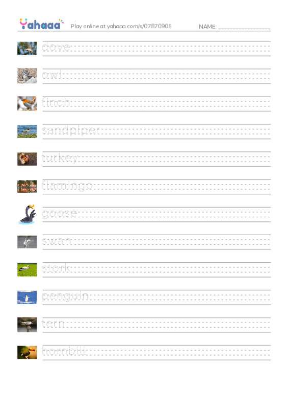 Birds Names (2) PDF write between the lines worksheet