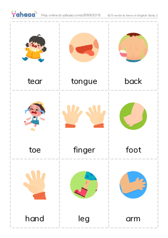 625 words to know in English: Body 2 PDF flaschards with images