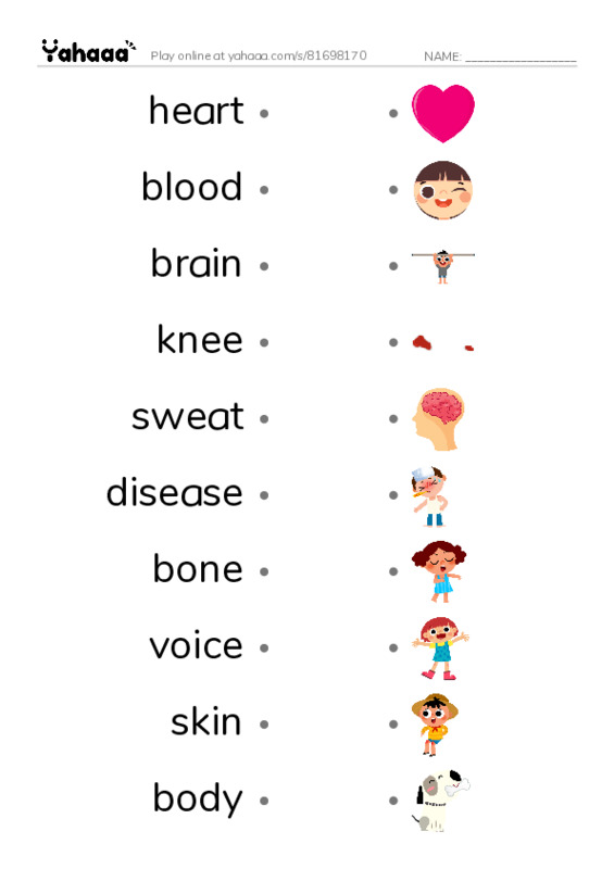 625 words to know in English: Body 3 PDF link match words worksheet