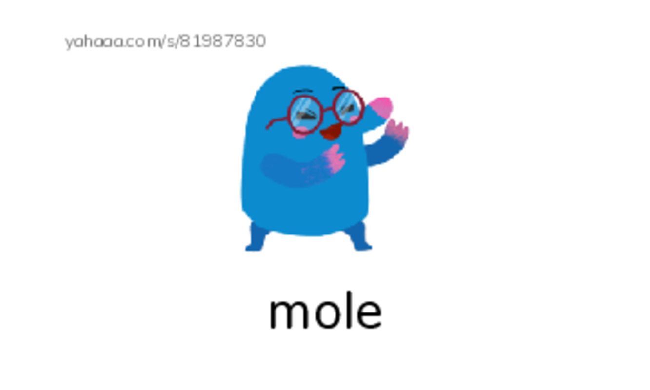 Common Nouns in English: chemistry 3 PDF index cards with images