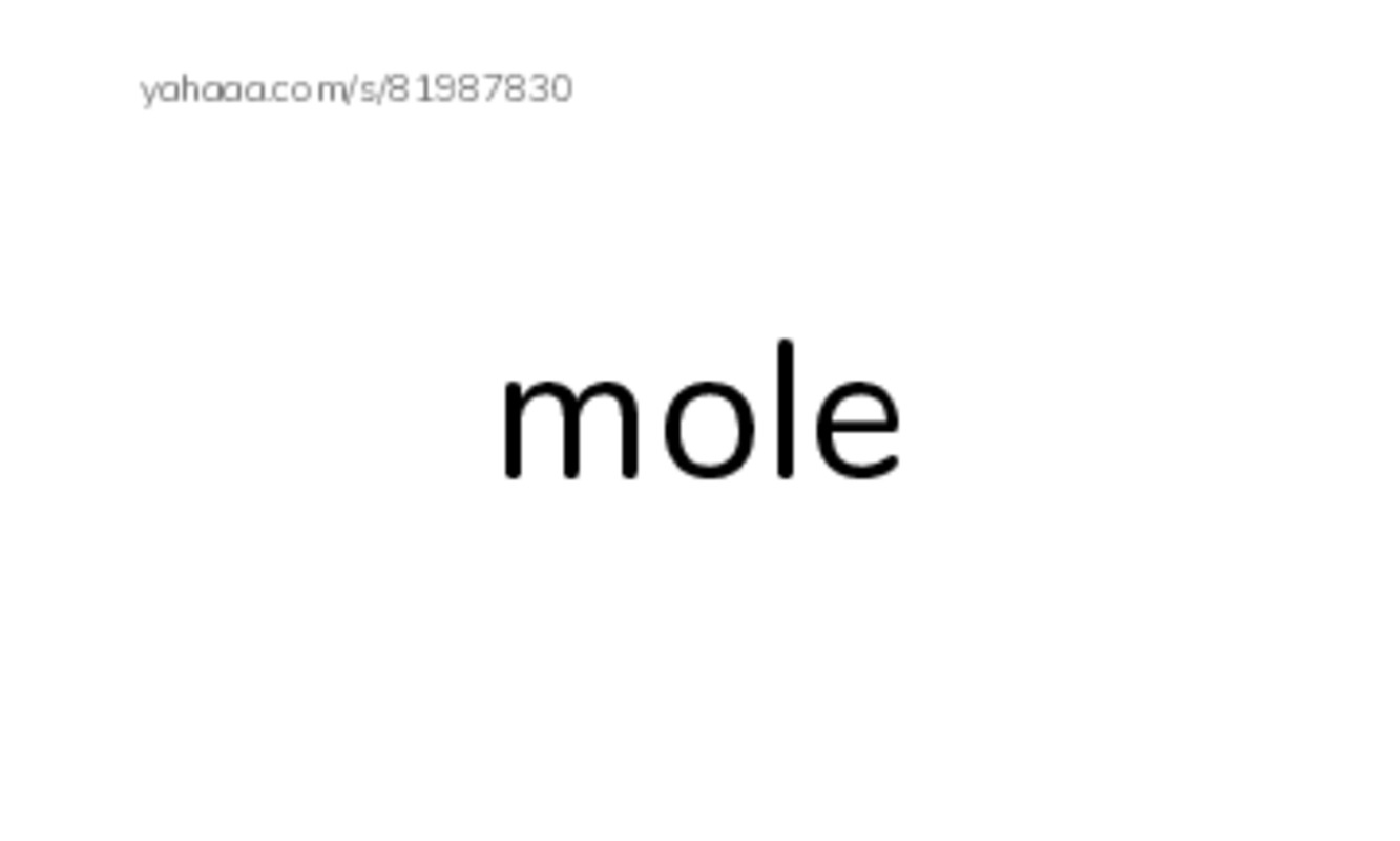 Common Nouns in English: chemistry 3 PDF index cards word only