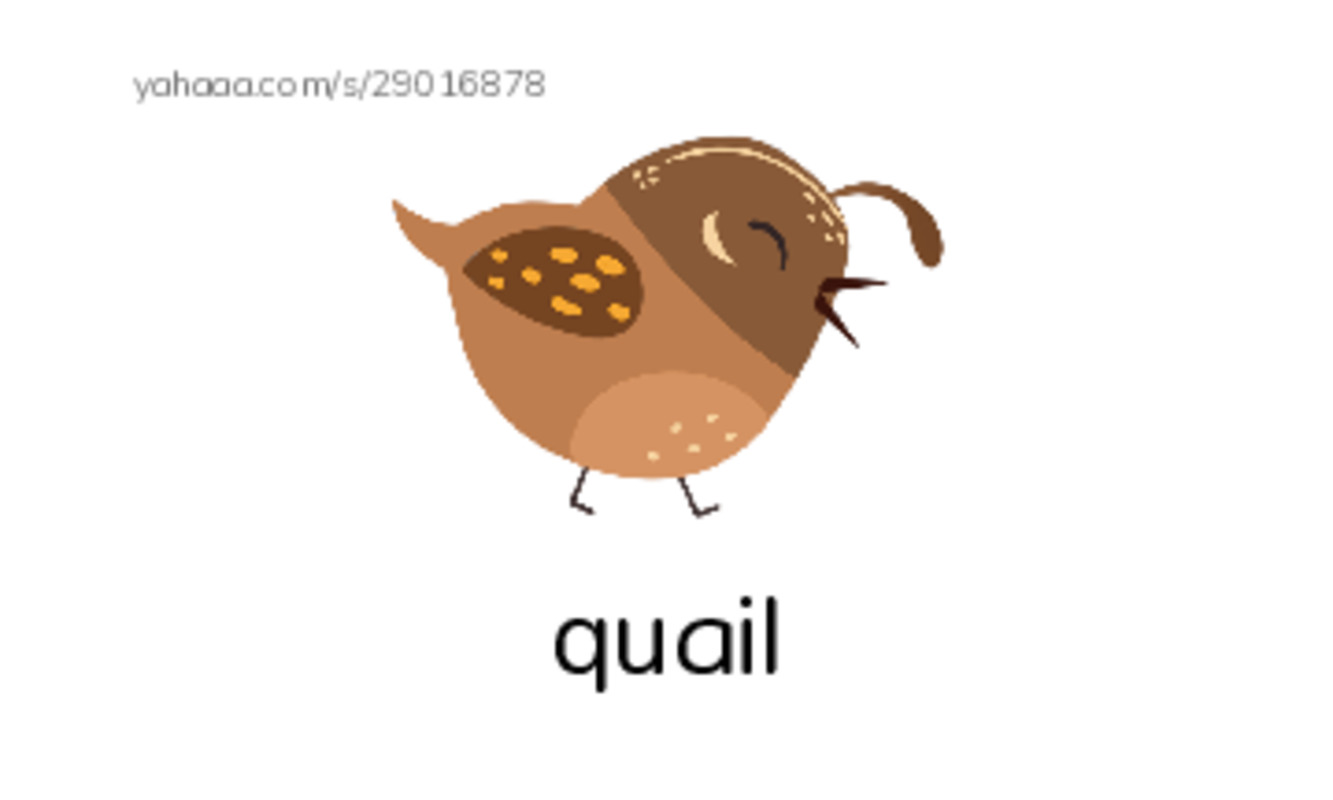 Common Nouns in English: meat 2 PDF index cards with images