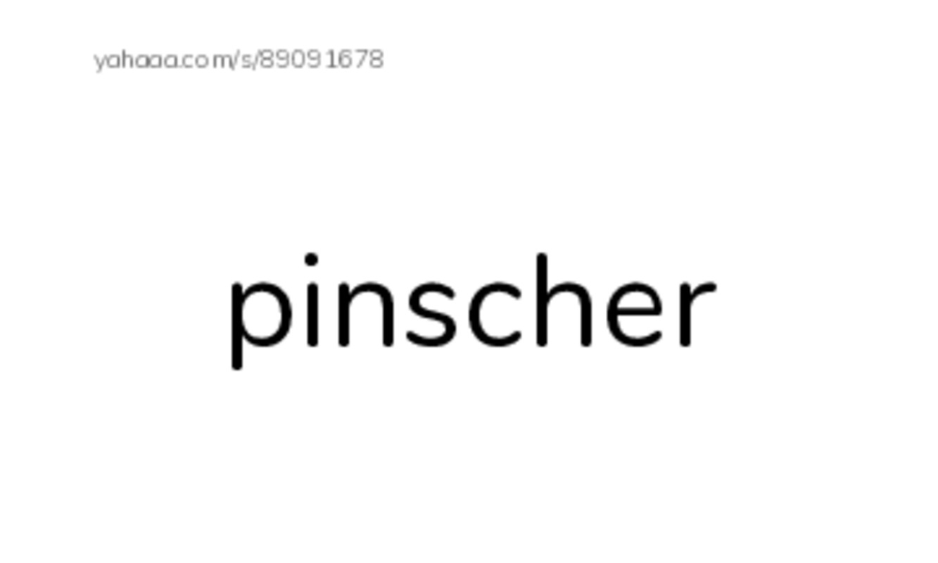 Common Nouns in English: dogs 2 PDF index cards with images