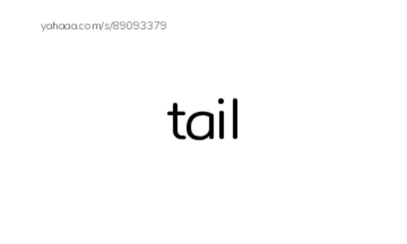 Common Nouns in English: algorithms 9 PDF index cards word only
