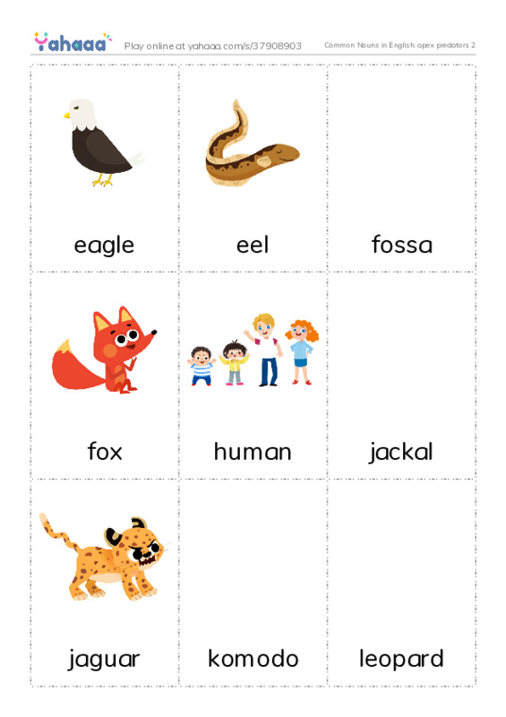 Common Nouns in English: apex predators 2 PDF flaschards with images
