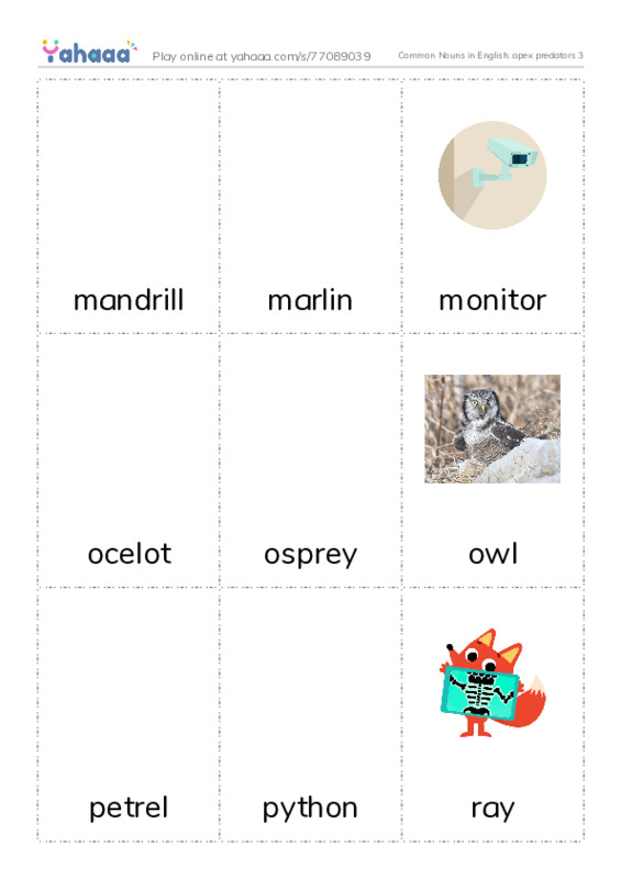 Common Nouns in English: apex predators 3 PDF flaschards with images