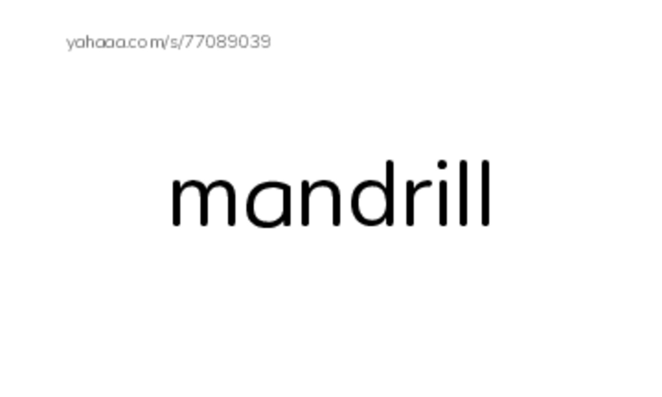 Common Nouns in English: apex predators 3 PDF index cards word only