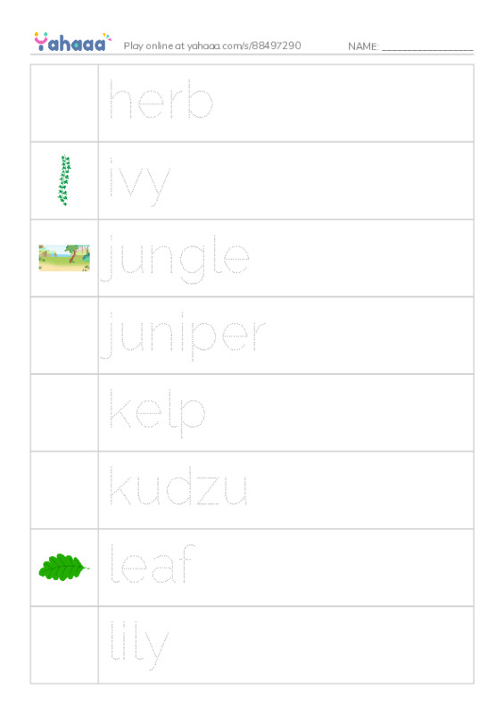 Common Nouns in English: plants 3 PDF one column image words