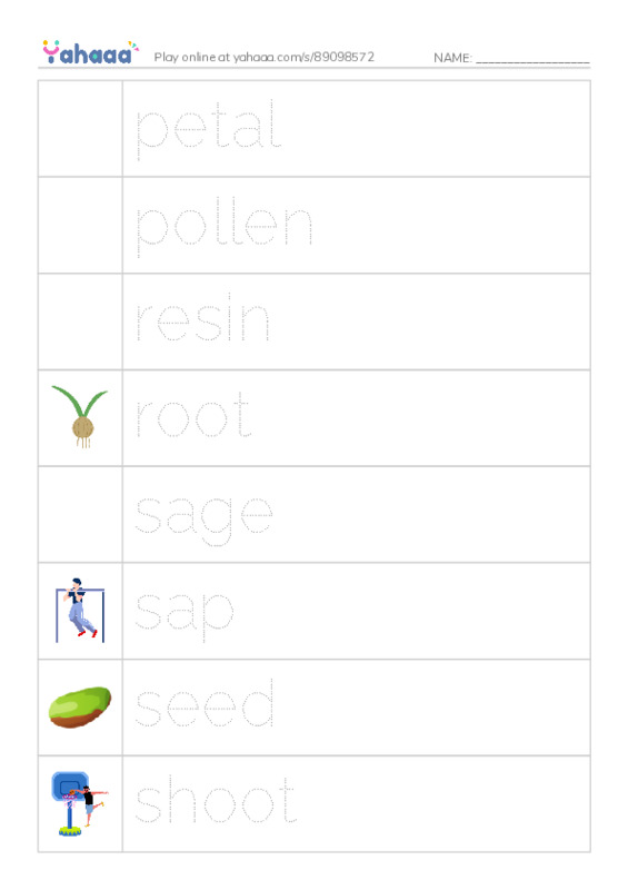 Common Nouns in English: plants 4 PDF one column image words