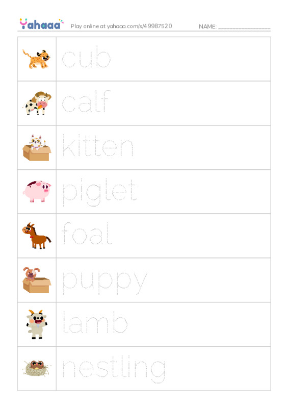 Young Animals PDF one column image words