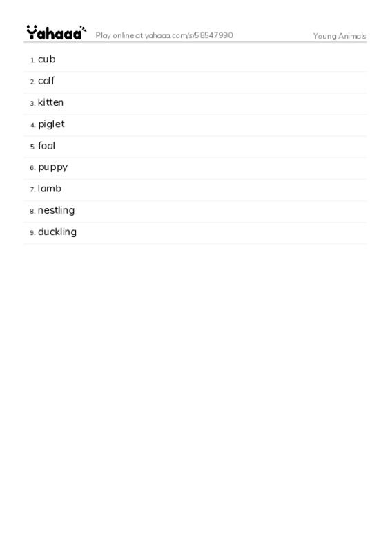 Young Animals PDF words glossary