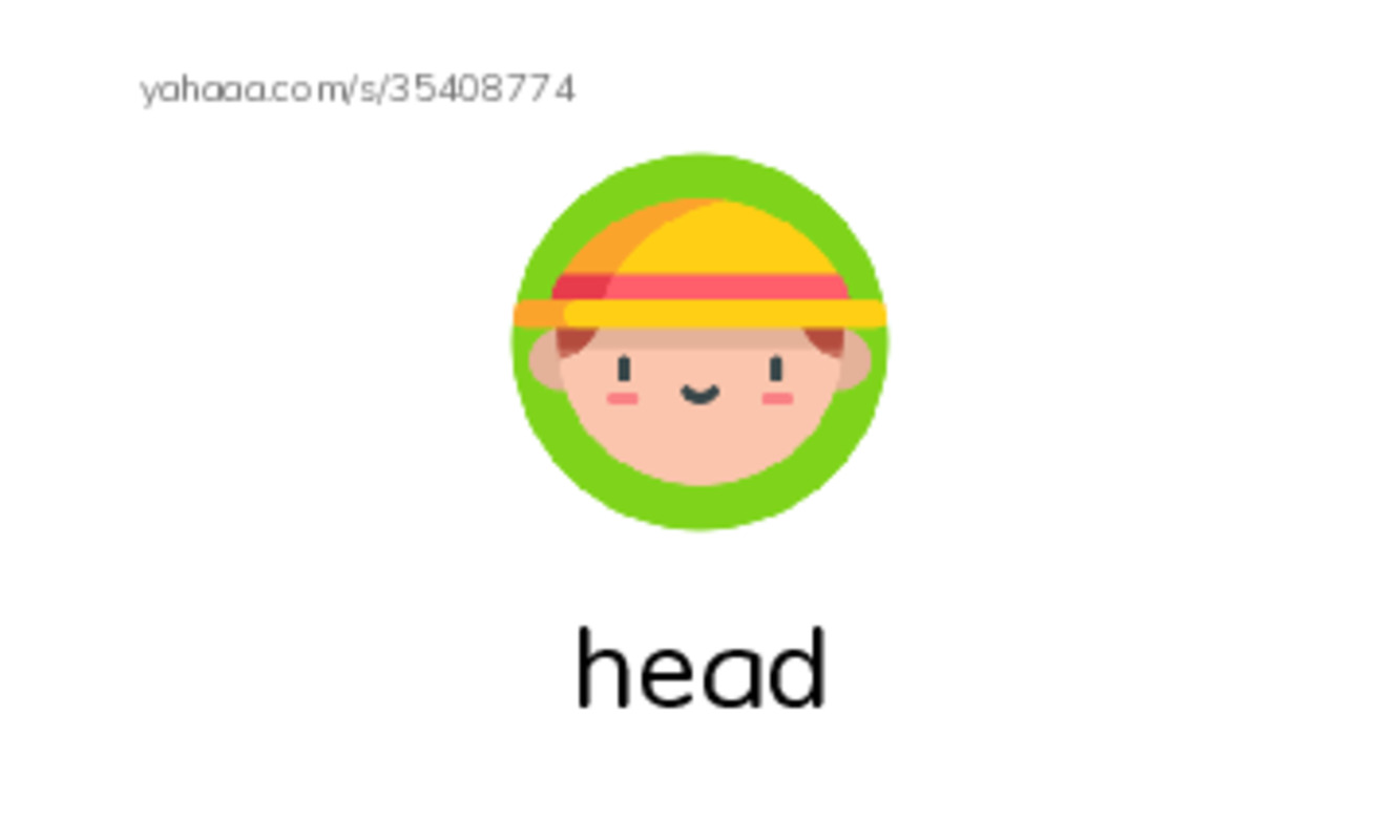 RAZ Vocabulary A: My Body PDF index cards with images