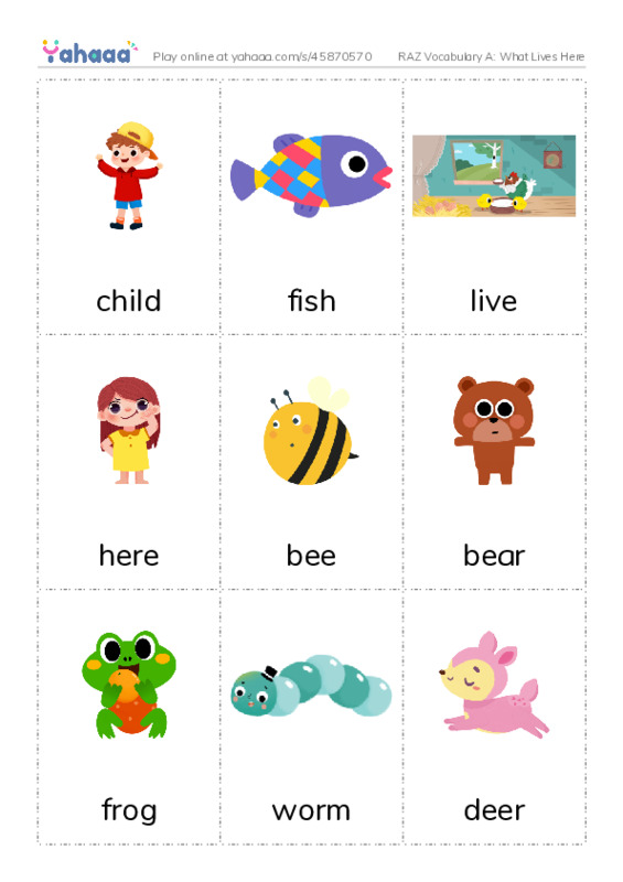 RAZ Vocabulary A: What Lives Here PDF flaschards with images