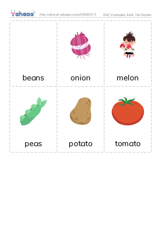 RAZ Vocabulary AAA: The Garden PDF flaschards with images