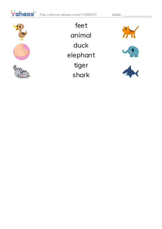 RAZ Vocabulary B: What Has These Feet PDF three columns match words
