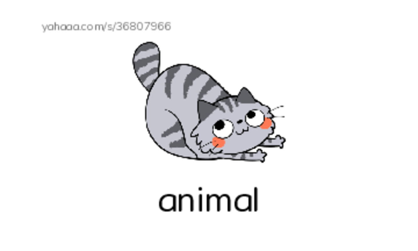 RAZ Vocabulary B: What Has This Tail PDF index cards with images
