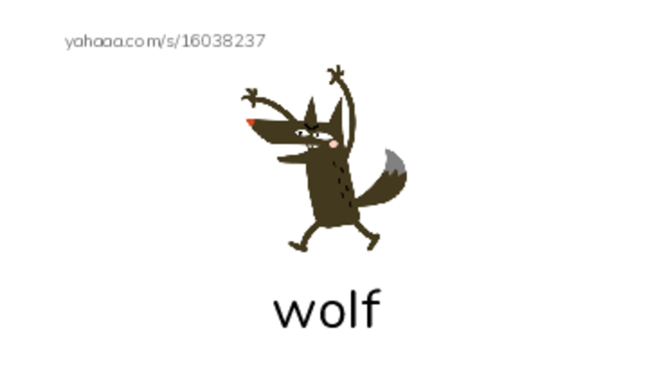RAZ Vocabulary C: The Animals of Canada PDF index cards with images