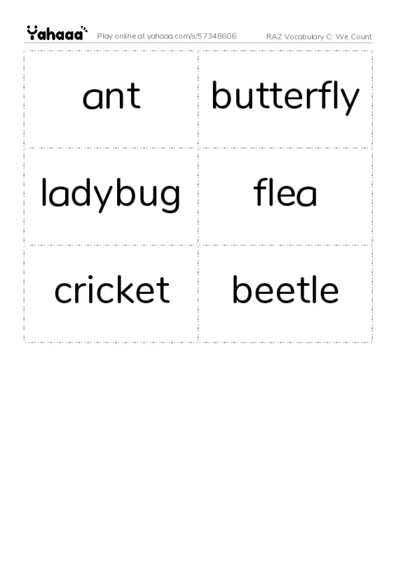 RAZ Vocabulary C: We Count PDF two columns flashcards