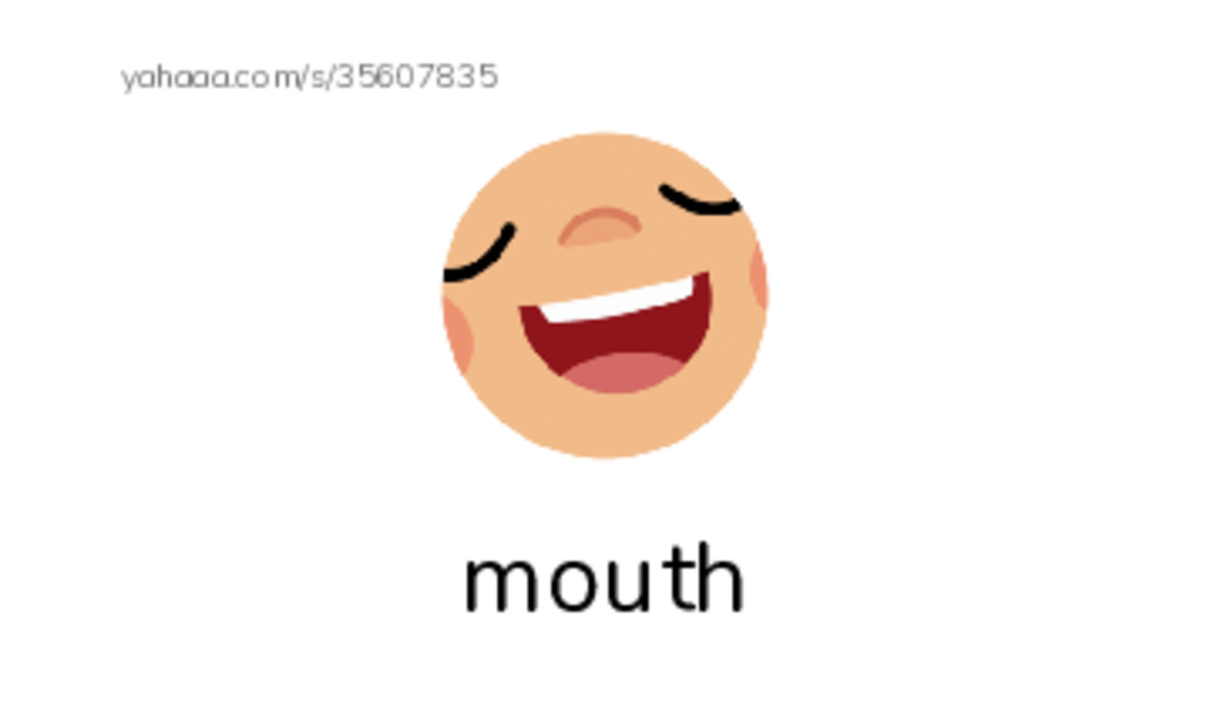 RAZ Vocabulary C: We Make a Snowman PDF index cards with images