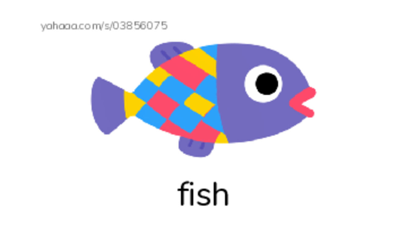 RAZ Vocabulary C: What Animals Eat PDF index cards with images