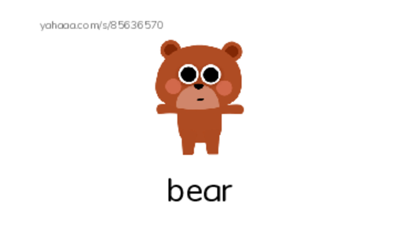 RAZ Vocabulary C: What Is at the Zoo PDF index cards with images