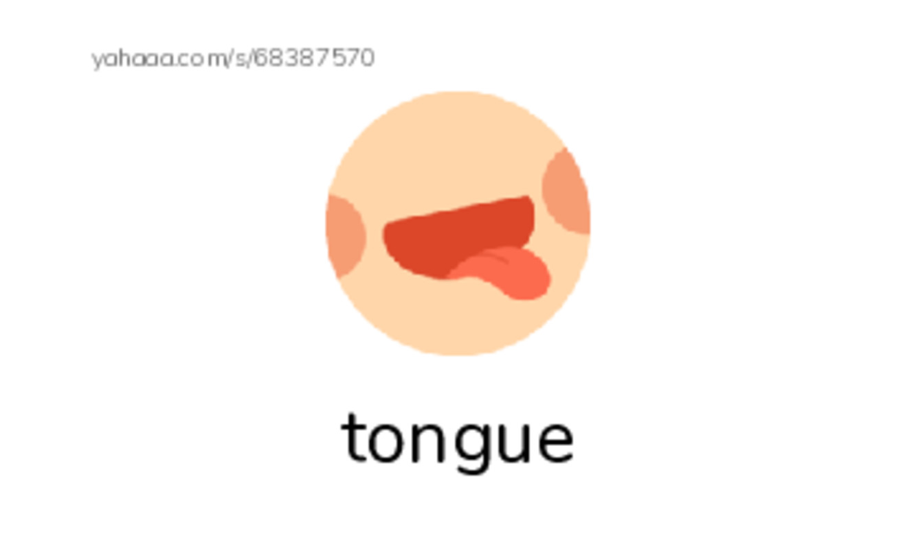 RAZ Vocabulary D: Animal Tongues PDF index cards with images