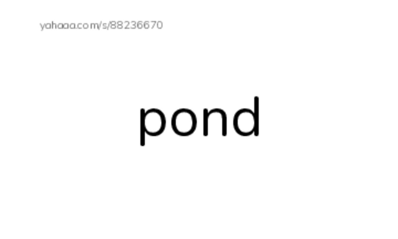 RAZ Vocabulary D: Polly Gets Out PDF index cards word only