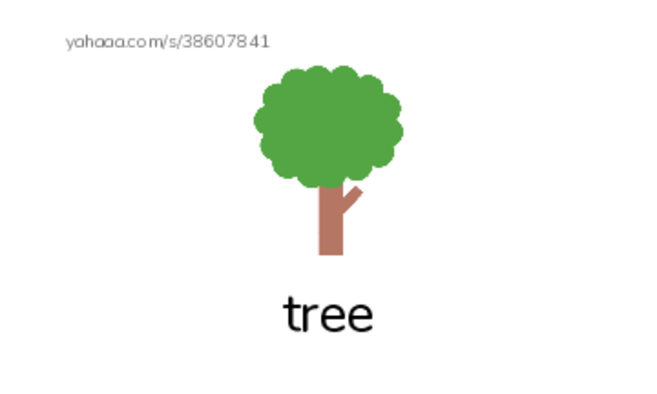 RAZ Vocabulary D: To the Woods PDF index cards with images