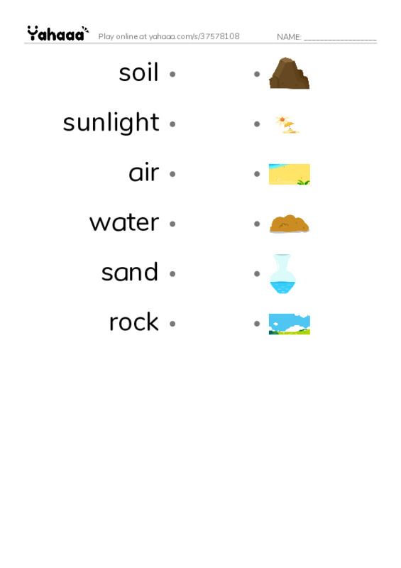 RAZ Vocabulary D: Where Plants Grow PDF link match words worksheet