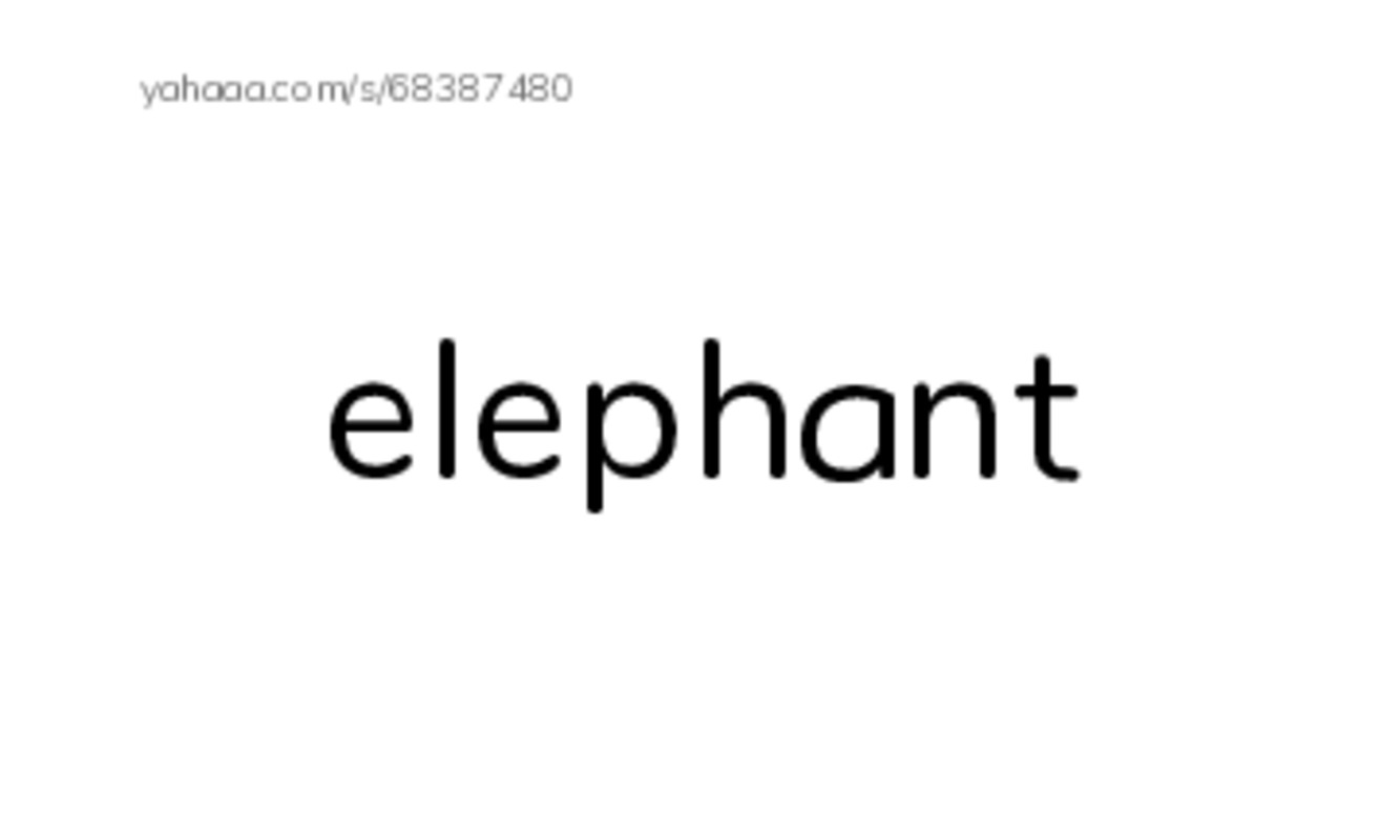 RAZ Vocabulary E: Animals Animals PDF index cards word only