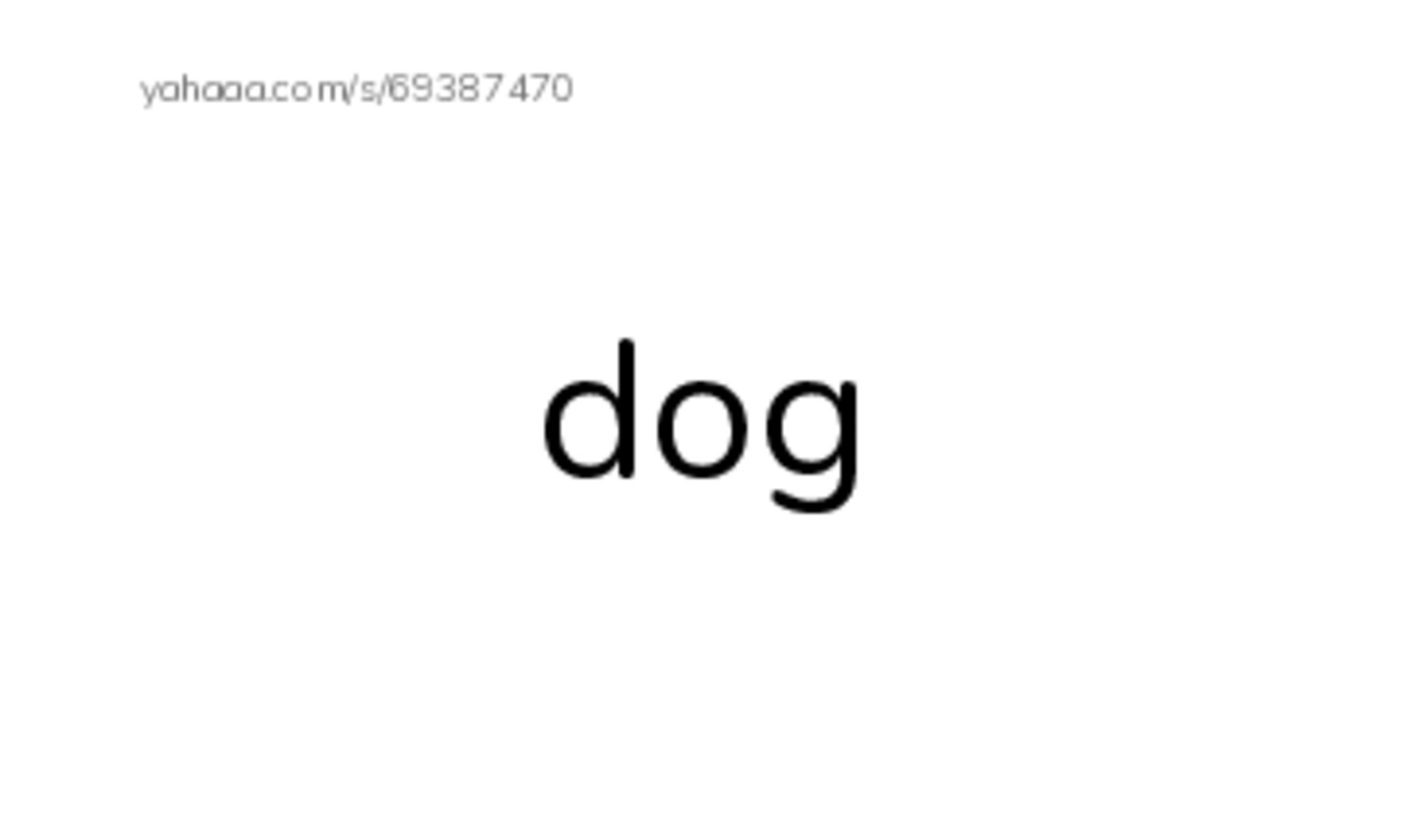 RAZ Vocabulary E: City Animals PDF index cards word only