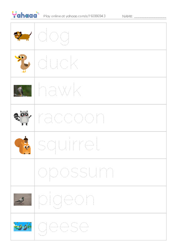 RAZ Vocabulary E: City Animals PDF one column image words