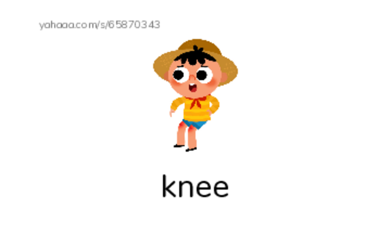 RAZ Vocabulary E: Doctor Jen PDF index cards with images