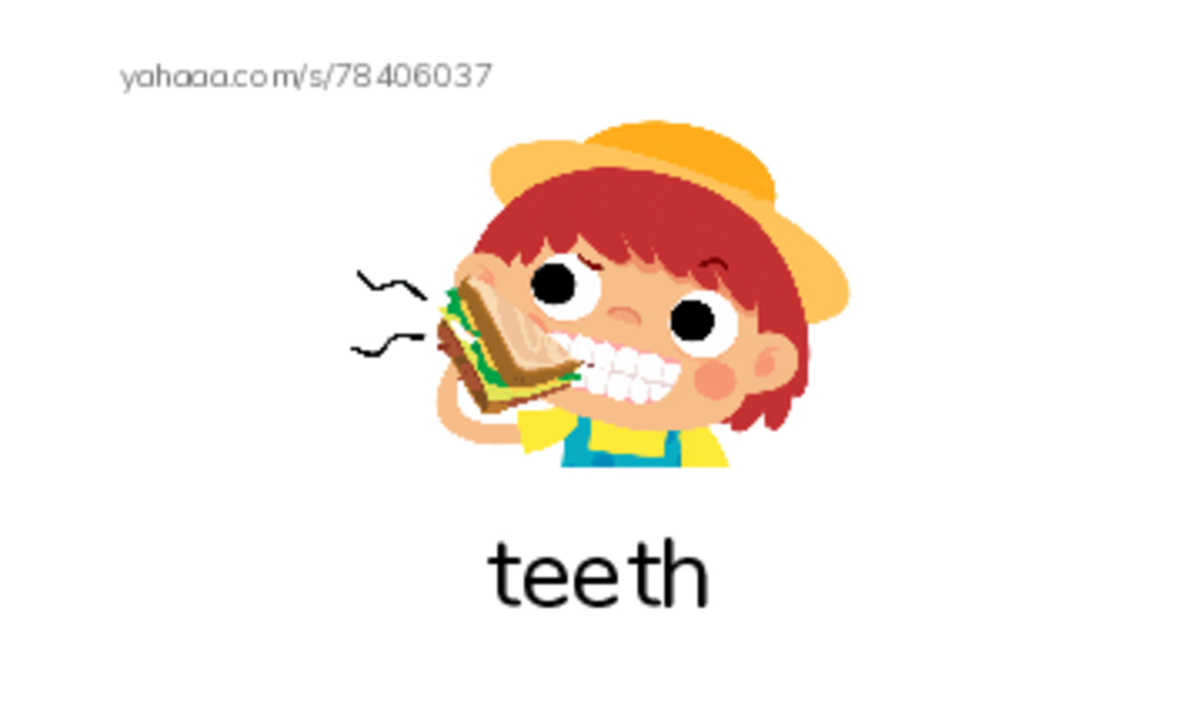 RAZ Vocabulary E: Getting Ready for School PDF index cards with images