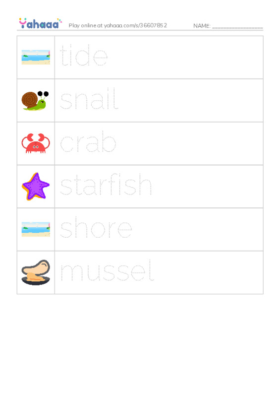 RAZ Vocabulary E: Shapes in Tide Pools PDF one column image words