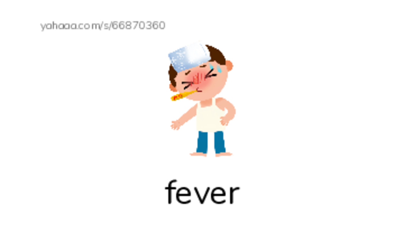RAZ Vocabulary E: The Vet PDF index cards with images