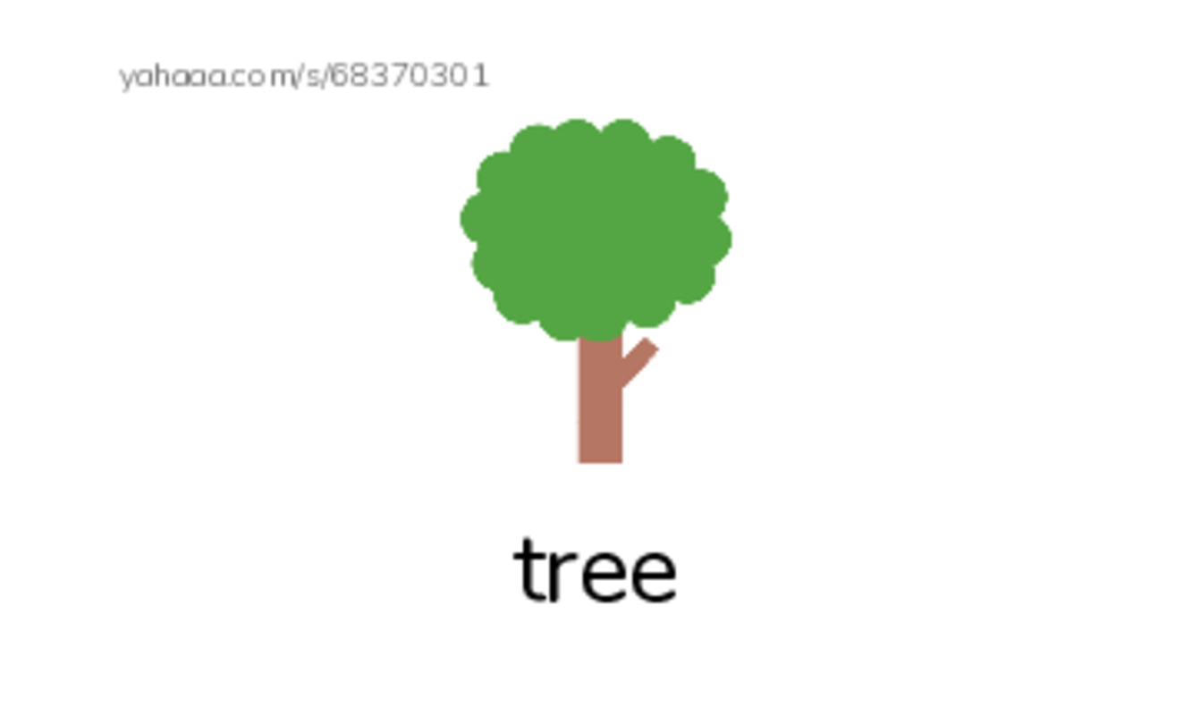 RAZ Vocabulary F: In a Chinese Garden PDF index cards with images